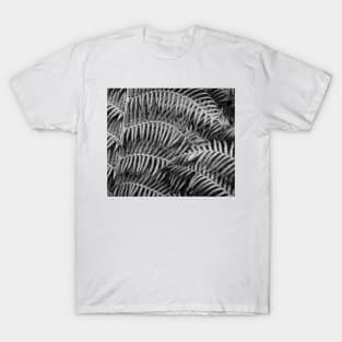 Wistful monochrome lush ferns T-Shirt